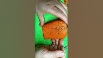 Cách tỉa hoa cà rốt cực dễ #shortvideo