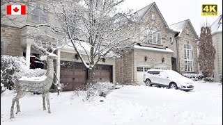 WINTER Storm ❄️ Toronto GTA Richmond Hill Walk | Beautiful Toronto Suburbs Homes