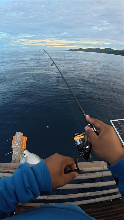'AJING' Light game pilipinas 🎯🎣#fishing #fishingtrip #ajing #shimano #vanquish #angler