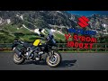 Suzuki V-Strom 1000XT - Гусь по рецепту Сузуки