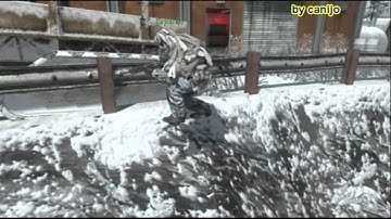 COD black ops BIG  FAIL on search and destroy