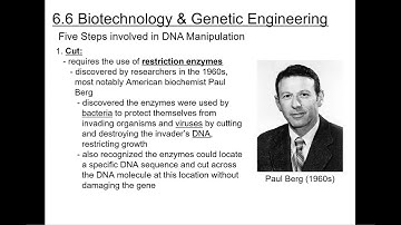 BIO 101 Chapter 6 DNA & Biotechnology Pt 2