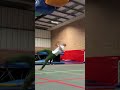 WAIT FOR IT #fail #tricking #flip