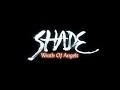 Shade: Wrath of Angels (Гнев ангелов) - 1) Загадочные письмо и исчезновение