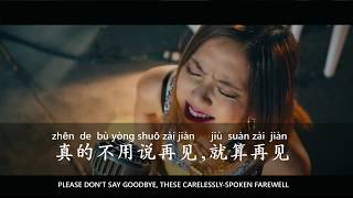 Learn Chinese Through Songs【G.E.M. : 再见 (Zài Jiàn | Goodbye) with English   Pinyin】