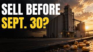“Sell $5 Corn Before the USDA Grain Stocks Report?” - Weekly Market Outlook: Sept. 21-25