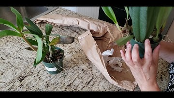 ECUAGENERA UNBOXING 🍀🥰