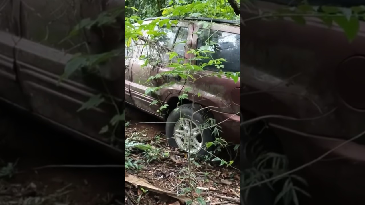 Carros abandonados escondidos na floresta #shortsyoutube