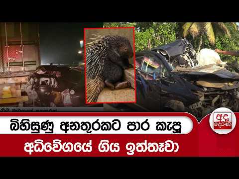 බිහිසුණු අනතුරකට පාර කැපූ අධිවේගයේ ගිය ඉත්තෑවා | Ada Derana