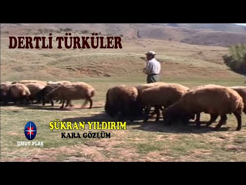 Özlem Hasret Kokan Uzun Hava Dertli TÜRKÜLER ( Köyümü Özledim ) / Şükran Yıldırım - Kara Gözlüm