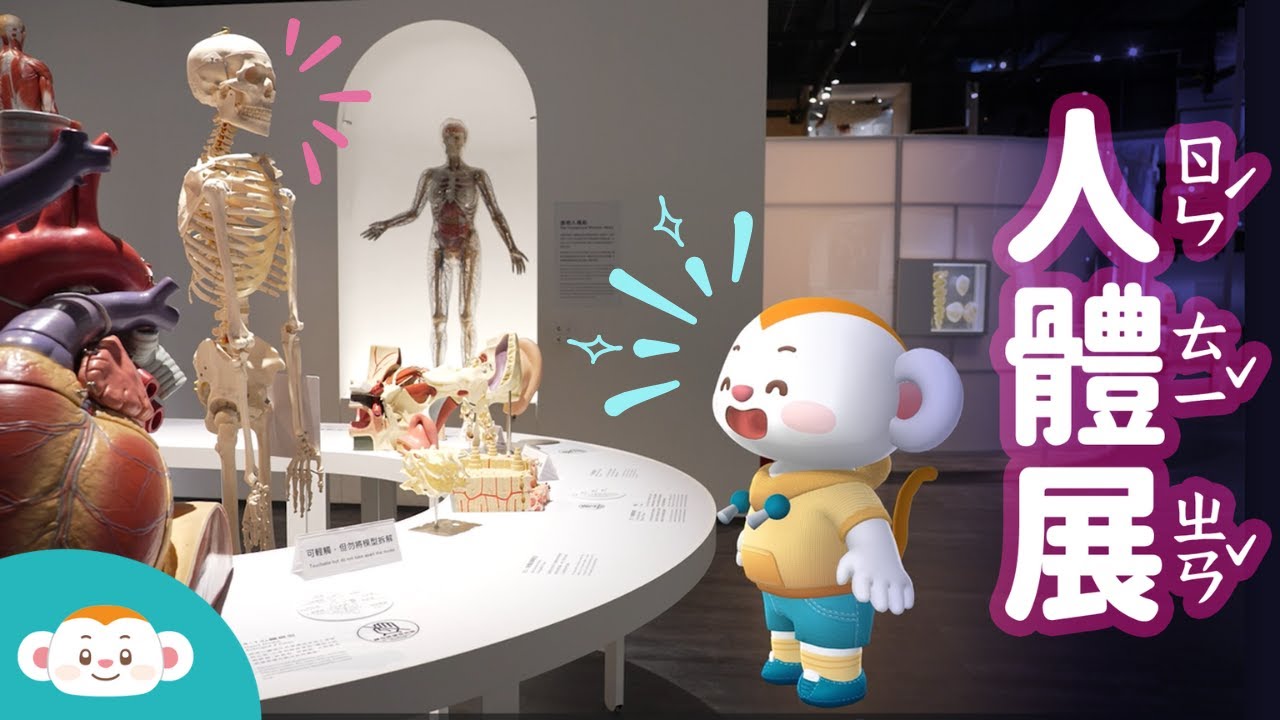 【樂樂帶你探險去】人體探索展｜臺灣科學教育館｜認識身體｜親子室內景點｜展覽介紹｜小行星樂樂TV