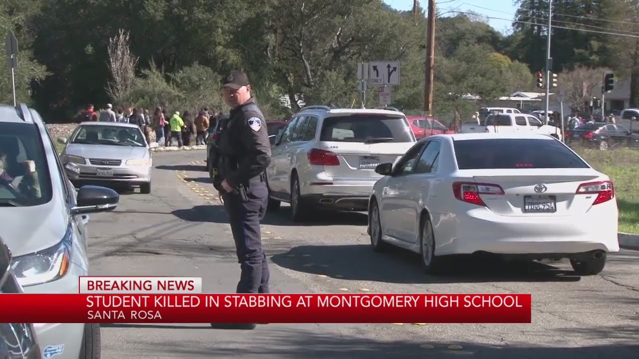 Montgomery High School student fatally stabbed in art class, police ...