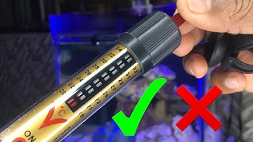 How to maintain aquarium temperature in winter | when to install a heater in aquarium #reef #marine