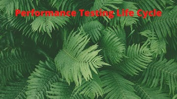Performance Testing Life Cycle
