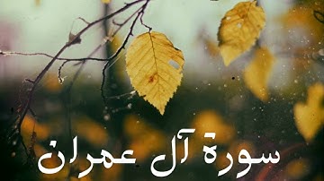 سورة آل عمران كاملة للشيخ هاني الرفاعي بصوت عذب و جميل و تلاوة رائعة و بدقة عالية .. توقف و أرح قلبك