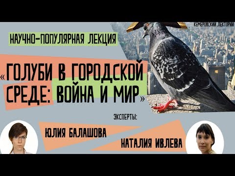 ЛЕКЦИЯ / Голуби в городской среде: война и мир» /