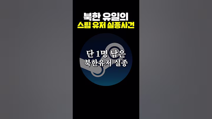 북한 유일의 스팀 유저 실종사건