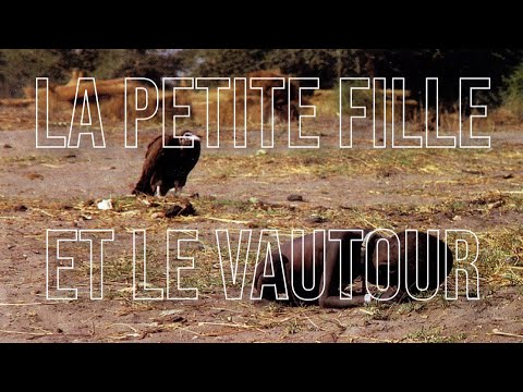 Vidéo: Le vautour est Description, photo