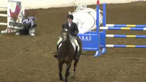 Video of LEO'S JAZZY GOLD ridden by ELIZABETH POUL...