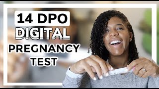 14 DPO TAKING FIRST DIGITAL PREGNANCY TEST