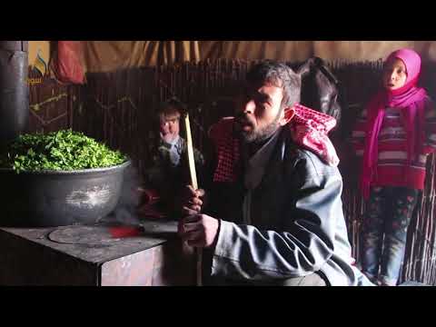 معاناة النازحين في مخيم المرج شدا الحرية