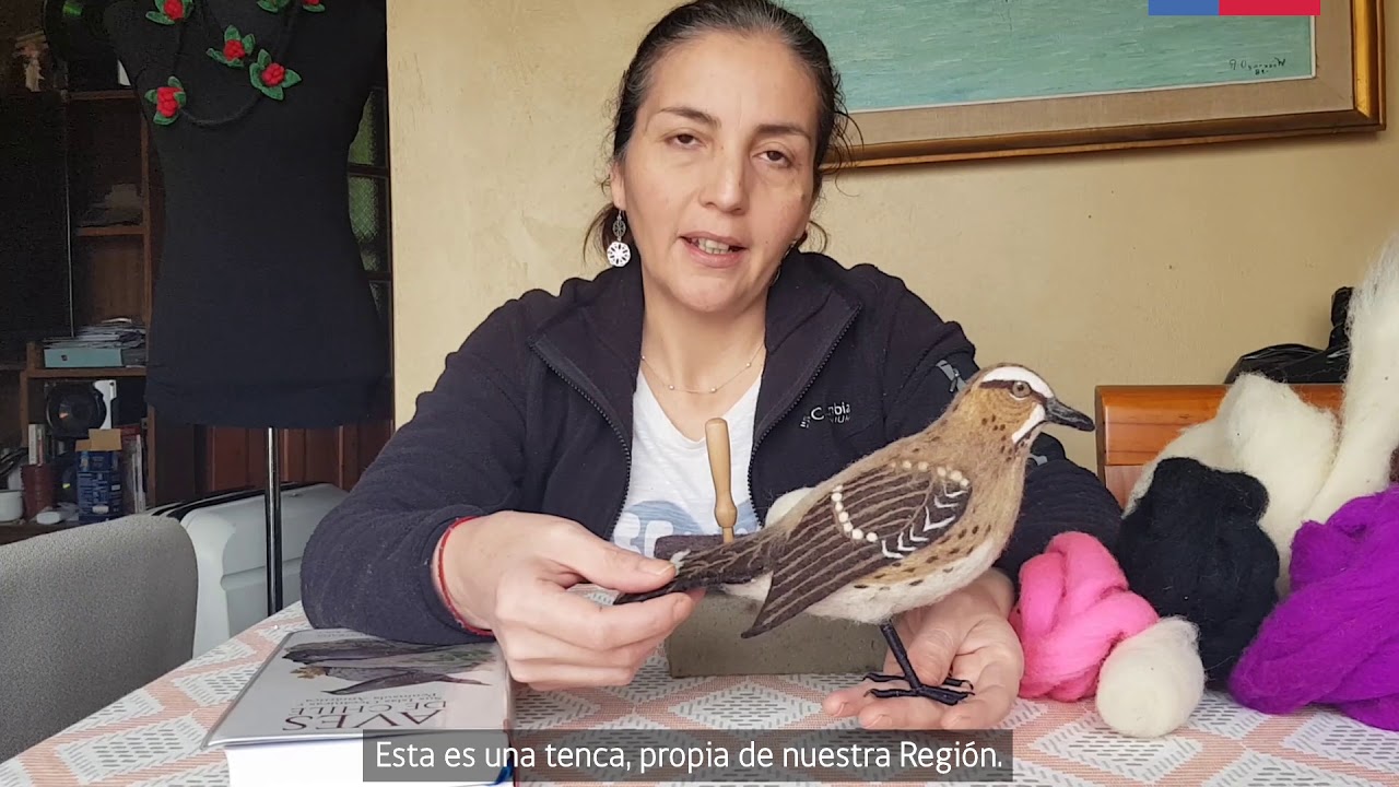 ACD - Réplicas de aves de la Región de la Araucanía en fieltro agujado - Denisse Caprile