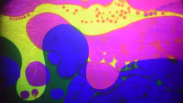 John Lilly, The man who gave Dolphins LSD - Isolation Tanks (Dolphin tapes, Montreal 1990)