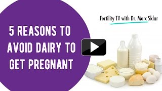 5 Reasons To Avoid Dairy to Get Pregnant 2 | Marc Sklar, The Fertility Expert