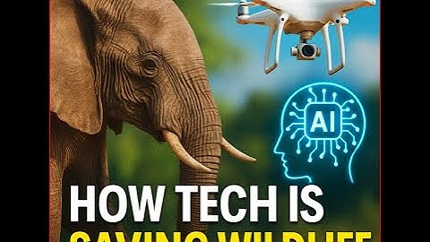 Revolutionizing Conservation: How Tech is Saving Endangered Species #TechForGood #conservationtech