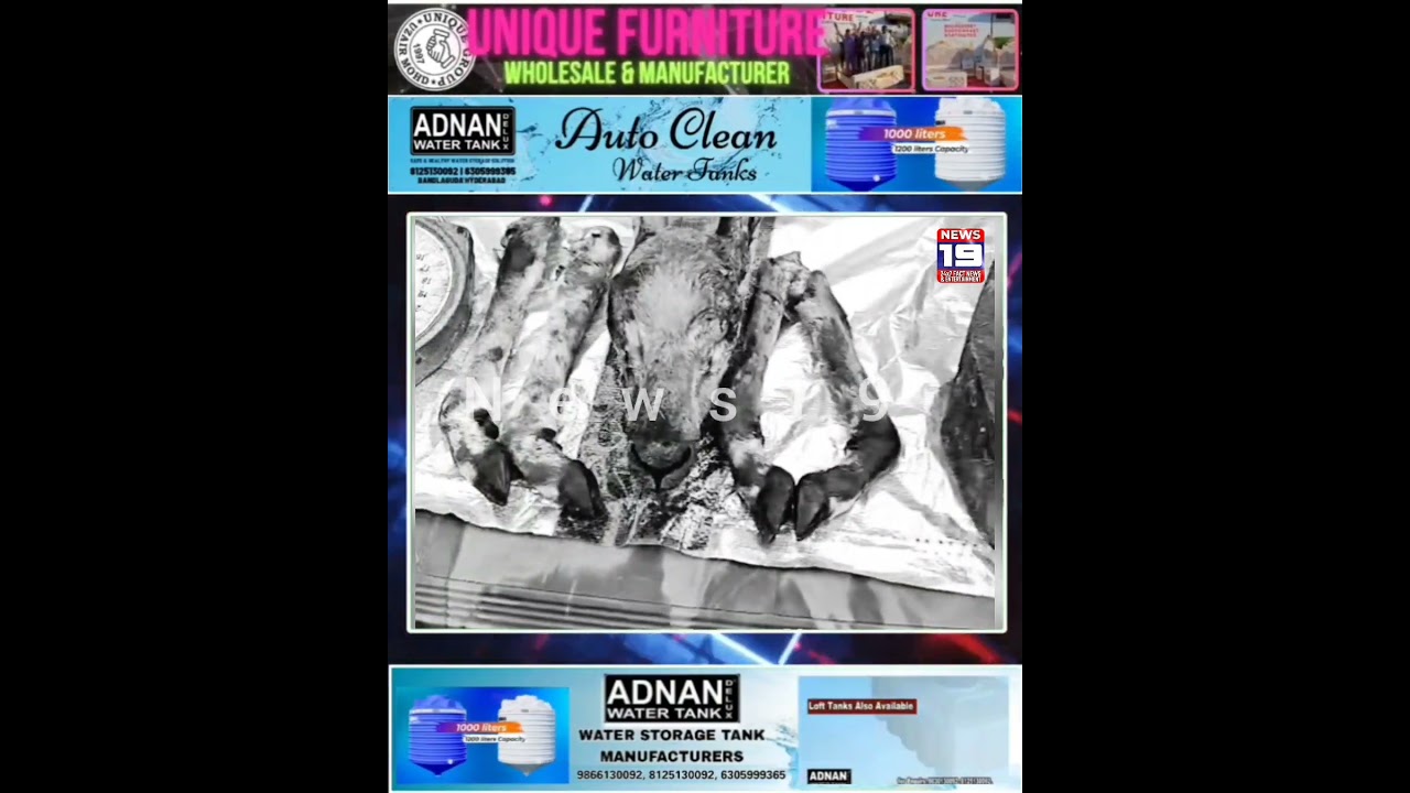 *Wildlife protection act - Illegal selling Deer meat of Attapur PS limits