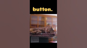 Don’t scroll 💔#catshorts #cuteanimal #catvideos #cute