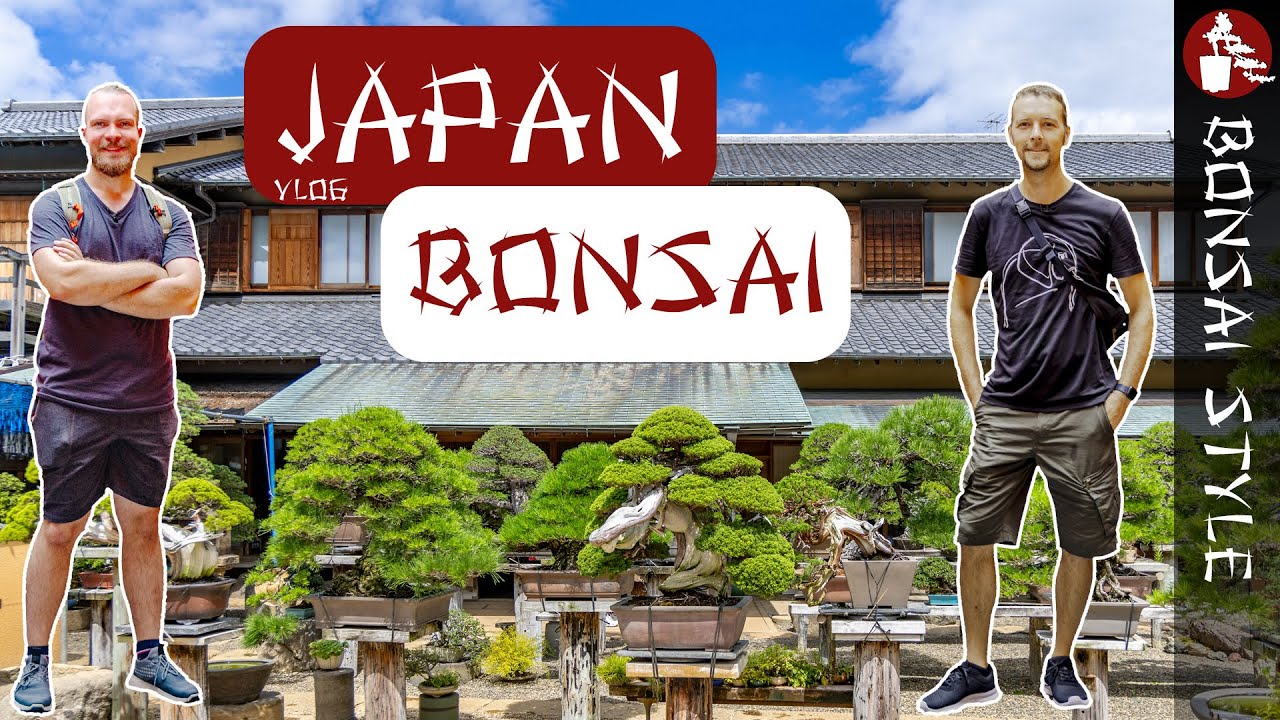 Bonsai Spezial | Japan Vlog | #100 Bonsai Style