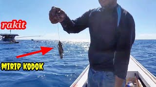 CARA MEMASANG UMPAN CUMI CUMI ll dengan target ikan tuna !!!