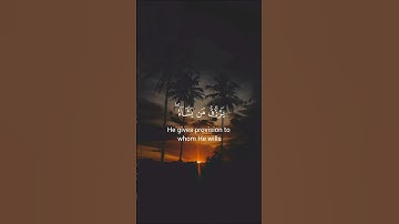 اللَّهُ لَطِيفٌ بِعِبَادِهِ يَرْزُقُ مَنْ يَشَاءُ وَهُوَ الْقَوِيُّ الْعَزِيزُ سورة الشورى  الآية 19
