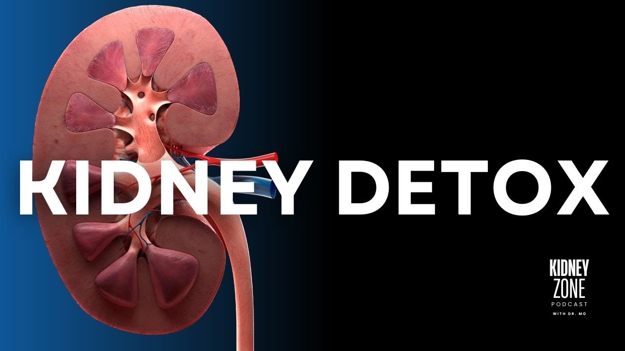 Kidney Detox | EP 20 | #kidneyzone