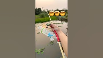 Homemade Bamboo Fishing Rod 🤯🤯#fishing #cauca