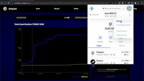 SubWallet 02 - Connect to Web3