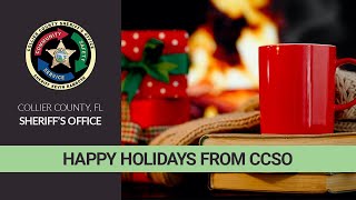 Twelve safety tips of Christmas