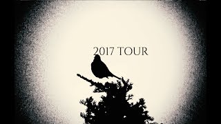 The Mapgie Salute - 2017 Tour - Thank you! chords