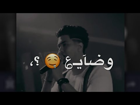 حمو الطيخا شبل فغابه مع ديابه تايه وضايع مبين رفايع 2023 حالات واتس اب