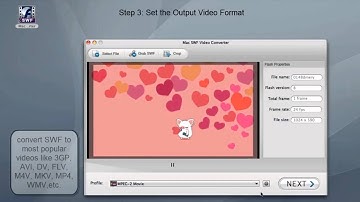 How to Convert SWF to Video on Mac
