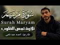 سورة مريم كاملة تلاوة تمس القلوب القارئ أحمد عبد الحي    2026