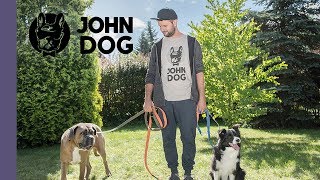 Jak wybrać technikę mijania innych psów?  TRENING PSA  John Dog