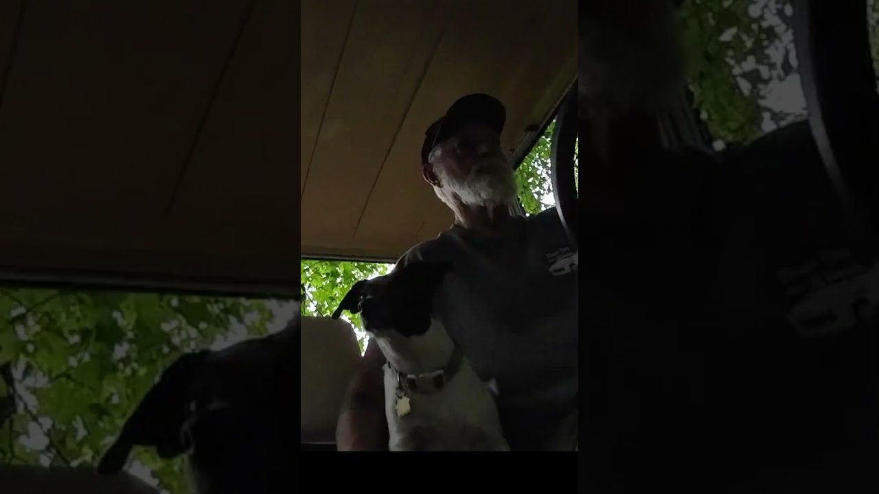 Buddy loves to ride #dog
