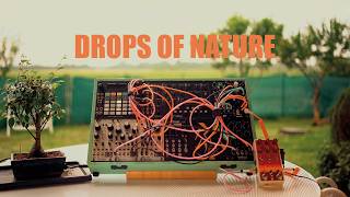 Drops of nature // Ambient generative music / Modular synth and @ChaseBlissAudio  Mood