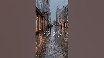 اينما تكونوا يدرككم الموت ولو كنتم في بروج مشيدة بصوت القارئ رعد الكردي تلاوة مؤثرة جدا 🥺✨🤍