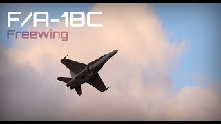 Freewing F-18  Cloudy Flight Session  HD 60fps