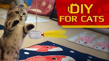 How to make Amazing Cat Toy with Catnip - DIY for CATS