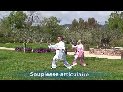 Web site : www.chinaclub-kungfu-wushu.fr