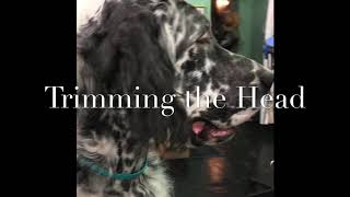 Trimming a Setter Head